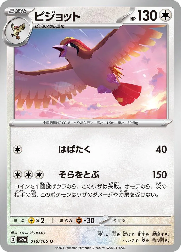 Pidgeot #18